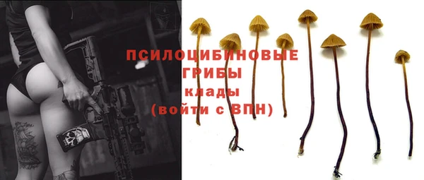 не бодяженный Аркадак