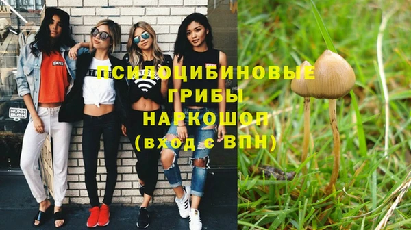 mdpv Арсеньев