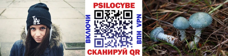 Купить где  Омск  Галлюциногенные грибы GOLDEN TEACHER 